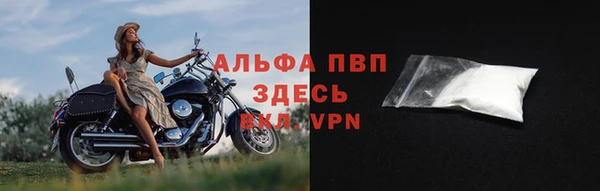 стаф Надым