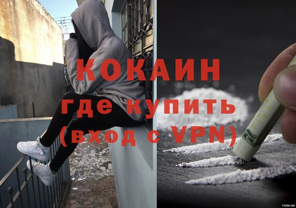 стаф Надым