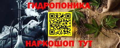 стаф Гай