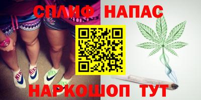 стаф Гай