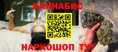 стаф Гай