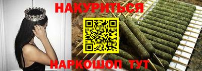 стаф Гай