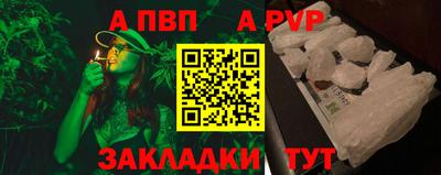 стаф Гай