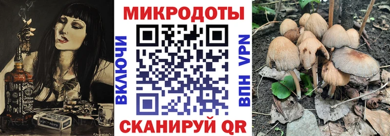 OMG ссылка Камышлов Псилоцибиновые грибы прущие грибы