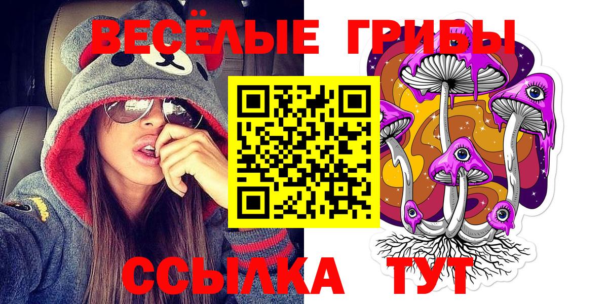 Галлюциногенные грибы Psilocybine cubensis Камышлов